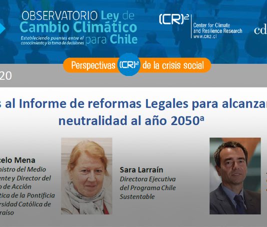 Policy brief Observatorio Ley de Cambio Climático | Comentarios al Informe de reformas Legales para alcanzar la carbono neutralidad al año 2050