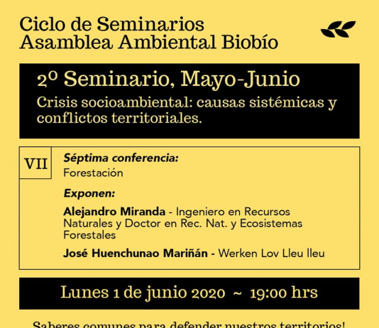 1 de junio | Seminarios Asamblea Ambiental del Biobío: «Plantaciones forestales y sus impactos»