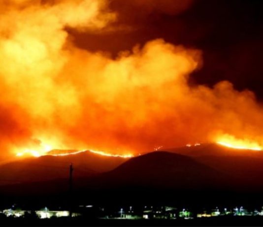 Un estudio revela que el cambio climático no fue determinante en los incendios chilenos (El Observador Uruguay)