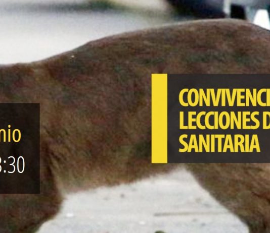2 de junio | Webinar UMayor «Convivencia humano-vida silvestre: lecciones de la contingencia sanitaria»
