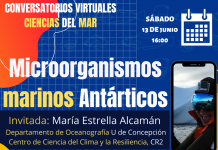 13 de junio | Conversatorios #QuédateEnCasa con #CienciasDelMar: Microorganismos marinos antárticos