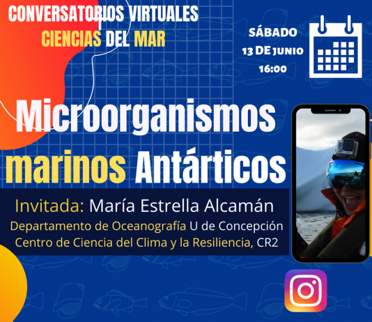 13 de junio | Conversatorios #QuédateEnCasa con #CienciasDelMar: Microorganismos marinos antárticos