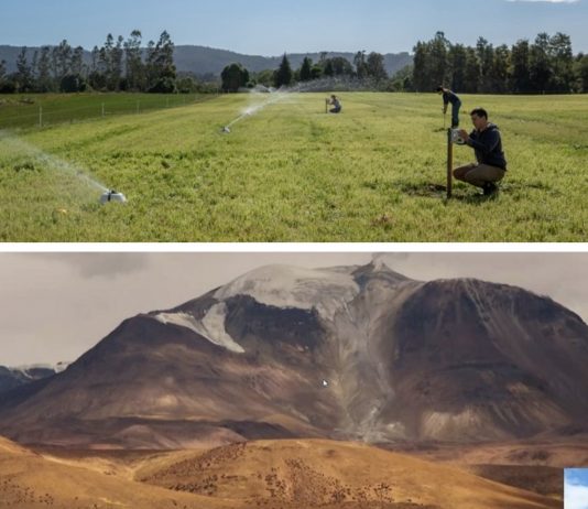 Especialistas abordaron cronologías de sequías del pasado y uso eficiente del agua en la agricultura (Diario UACh)
