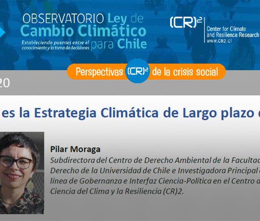 Policy brief Observatorio Ley de Cambio Climático | ¿Qué es la Estrategia Climática de Largo plazo de Chile?