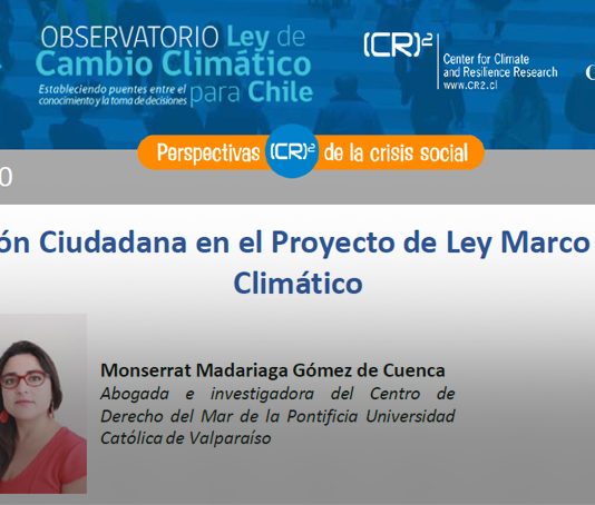 Policy brief Observatorio Ley de Cambio Climático | Participación Ciudadana en el Proyecto de Ley Marco de Cambio Climático