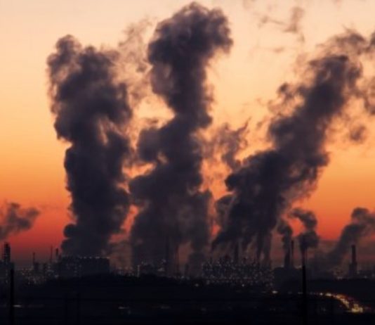 Congreso Futuro: ¿Es esta la oportunidad para cambiar las formas de producción? (Radio Cooperativa)