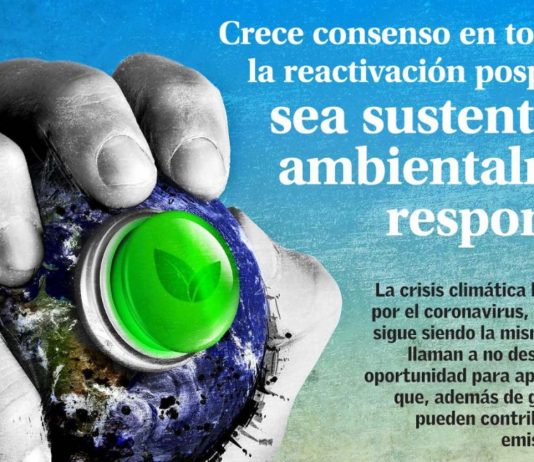 El desafío pospandemia es lograr una recuperación económica sin olvidar la sustentabilidad y los compromisos medioambientales (El Mercurio)
