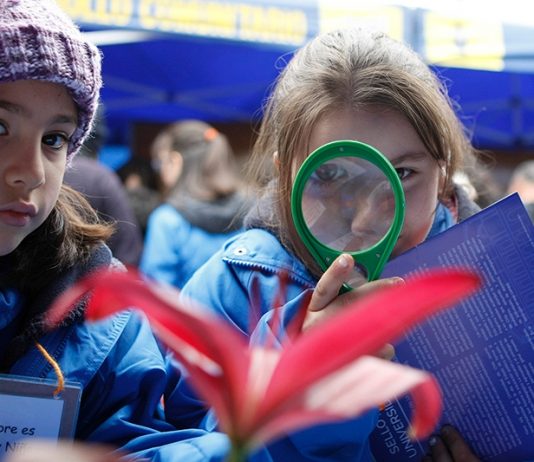 Integración, colaboración y aprendizajes insertos en el territorio: el impacto de la educación en ciencias basada en la indagación (Noticias U. de Chile)