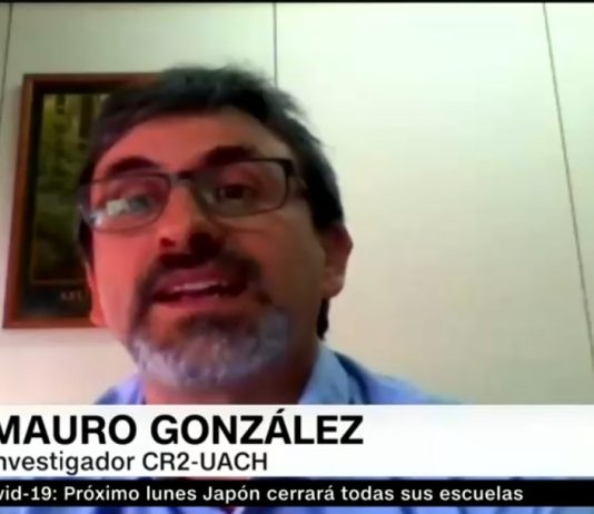 Desafío Tierra: El impacto de los incendios en los suelos (CNN Chile)