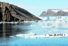 La desconocida conexión de la Antártica con las lluvias en la zona central de Chile (La Tercera)