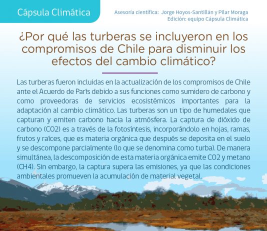 Cápsula climática: ¿Por qué las turberas se incluyeron en los compromisos de Chile para disminuir los efectos del cambio climático?