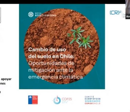 Dr. Antonio Lara: “Los cambios de uso de suelo, destrucción y degradación de bosques nativos y otros ecosistemas provocan pérdida del carbono almacenado” (Diario UACh)
