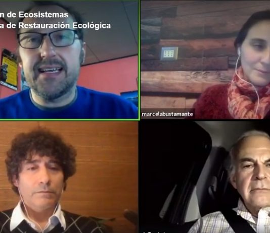 Exponen avances en restauración y señalan necesidad urgente de apoyo del Estado para enfrentar desafíos (Diario UACh)