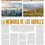 2020_08_22_8_Revista_Sabado_RVSB_NE3RAQP2_