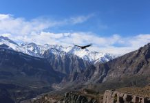 Campaña para crear el primer Parque Nacional de la Región Metropolitana espera aún respuesta del Gobierno (El Desconcierto)