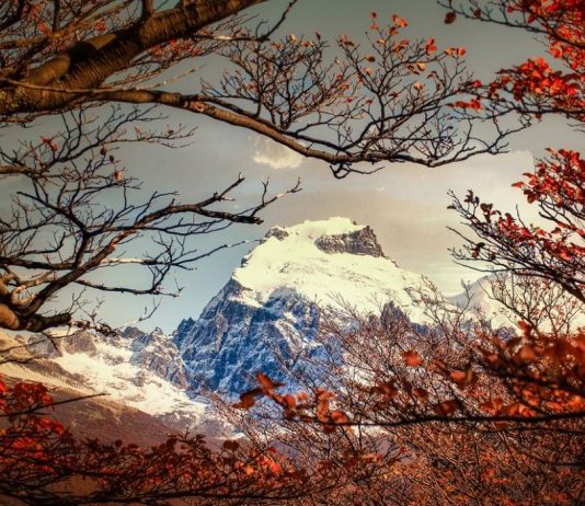 Profesora Pilar Moraga implementará laboratorio sobre cambio climático y su dimensión constitucional en Punta Arenas (Noticias Derecho U. de Chile)