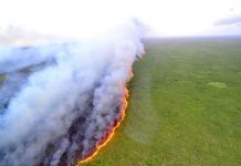 Incendios forestales de 2020 podrían ser peores que en 2019 (Desafío Tierra)