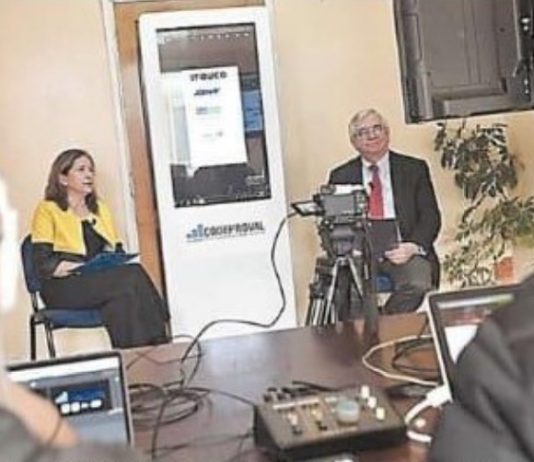 Analizaron los desafíos de la carbono neutralidad en seminario EESur 2020 (Diario Austral)