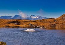 Llamado a cargo de asistente de investigación en derecho ambiental: Equipo de trabajo «Mapa normativo»