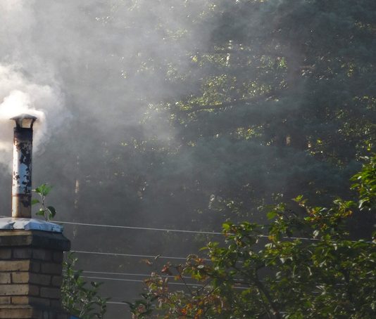 Análisis: Testimonios del uso de la leña en el sur de Chile | (CR)2