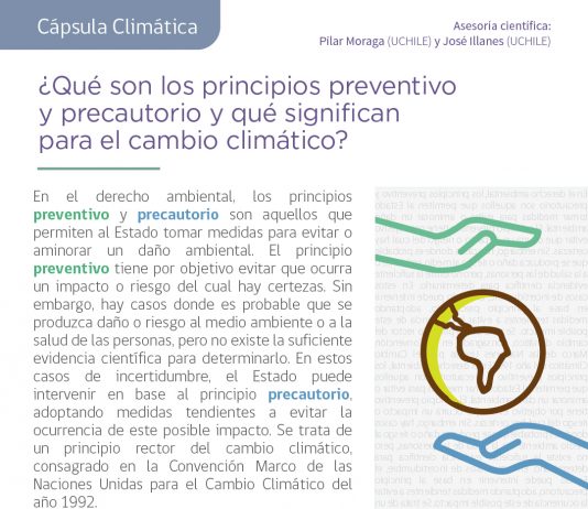 Cápsula climática: ¿Qué son los principios preventivo y precautorio y qué significan para el cambio climático?