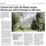 Cipreses_del_Cajón_del_Maipo_revelan_diluvios_que_sufrió_Santiago_en_500_años_www_lun_com