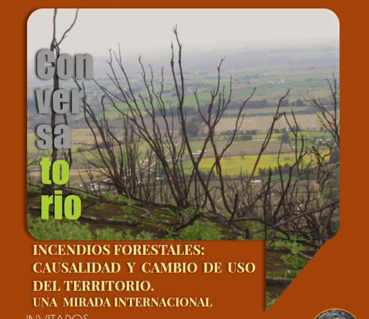 25 de noviembre | Conversatorio «Incendios Forestales: Causalidad y Cambio de Uso del Territorio. Una Mirada Internacional»