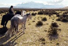 Vórtice polar promete un verano seco en la Patagonia (Las Últimas Noticias)