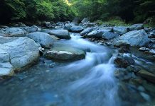 Profesora Pilar Moraga por el agua transada en la bolsa: «Reducir el agua a un bien económico creo que en el mundo actual es una cosa completamente surrealista» (Noticias U. de Chile)