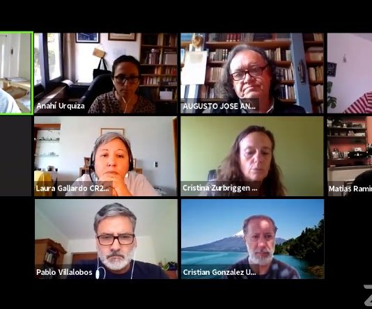 Investigadores reflexionan sobre desafíos inter y transdisciplinarios post pandemia (maulee.cl)