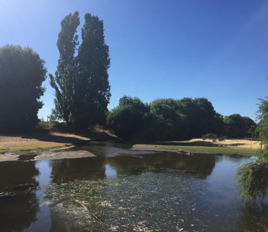 Esta es la última víctima del cambio climático en Chile (La Tercera)