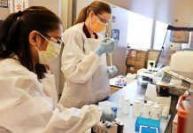 Aumentan las mujeres que lideran proyectos de investigación STEM: en una década pasan de 15% a 25% (El Mercurio)