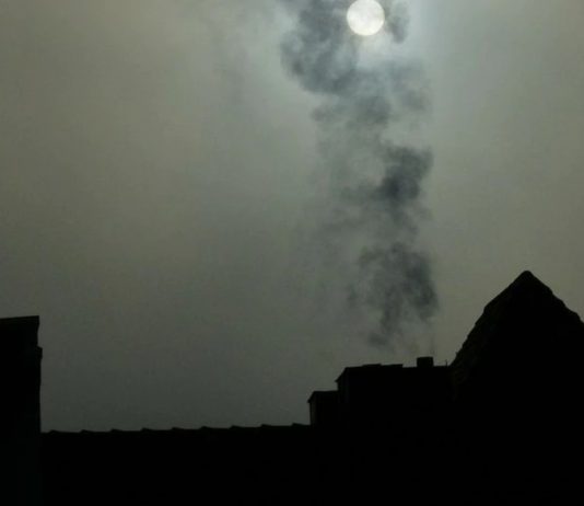 A medida que progresa el desconfinamiento, regresa la contaminación: ¿situación ambiental volverá a ser la misma que antes del Covid? (La Tercera)