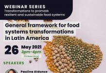 26 de mayo | Webinar Series Transformations to promote resilient and sustainable food systems: General framework for food systems transformations in Latin America