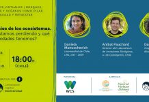 8 de julio | Cuarta sesión encuentros virtuales «Bosques, humedales y océanos como pilar para la equidad y bienestar»