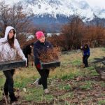 Elmercurio_restauración