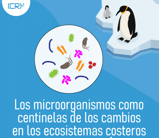 Los microorganismos como centinelas de los cambios en los ecosistemas costeros marinos de la Antártica