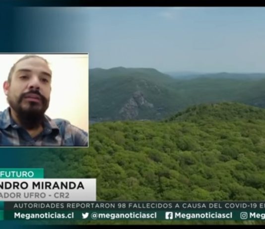 Planeta Futuro: entrevista a Alejandro Miranda por migración de árboles (Mega)