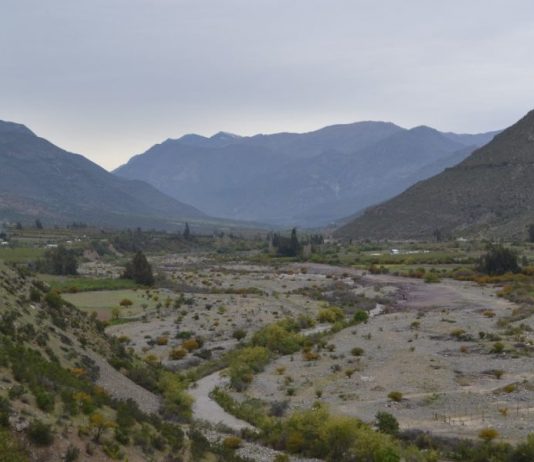 El clima obliga a la agricultura del Valle del Aconcagua a adaptarse (El Ágora)