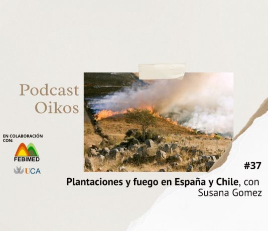 Podcast Oikos: Plantaciones y fuego en España y Chile, con Susana Gomez (Podcastidae)