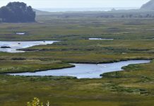 Comunidades y científicos dan a conocer iniciativas de conservación más exitosas de Latinoamérica (La Tercera)