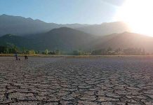¿Cuál es tú huella?: Entrevista a Pilar Moraga sobre resiliencia climática (TVN)
