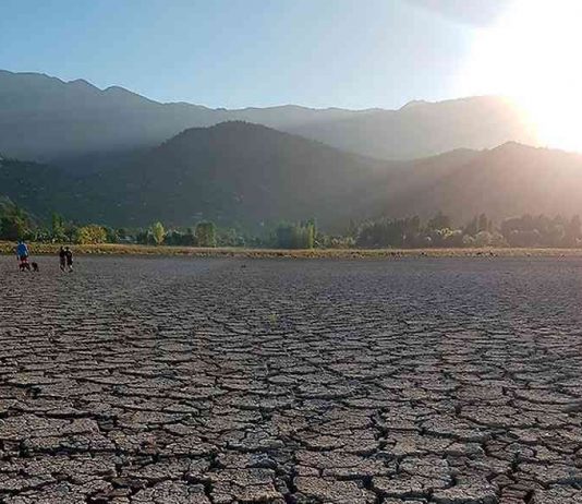 ¿Cuál es tú huella?: Entrevista a Pilar Moraga sobre resiliencia climática (TVN)