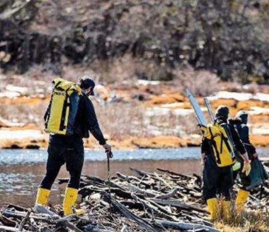 You Asked 1,000 Questions about Peatlands, and Our Bog Experts Answered (Some of) Them (The New York Times)