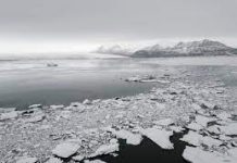 Nuevo golpe del calentamiento global: Confirman récord de calor en la Antártica (Chilevisión)