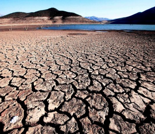 Estefanía González: “Gravísimo déficit hídrico requiere medidas urgentes e inmediatas” (El Desconcierto)