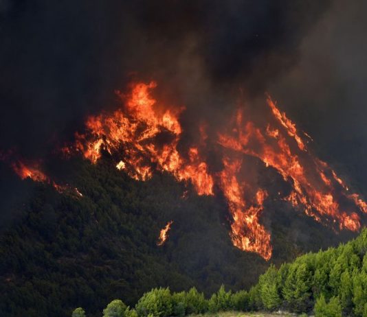 El planeta se derrite: EE.UU., Canadá, Italia, Grecia, Groenlandia y Turquía sufren las consecuencias del cambio climático en el hemisferio norte (La Tercera)