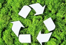 Glosario Sustentabilidad: 10 conceptos clave que hay que conocer (El Mercurio)