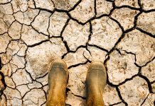 Eco ansiedad: Especialistas de la U. de Chile explican en qué consiste este nuevo trastorno psicológico (Noticias U. de Chile)