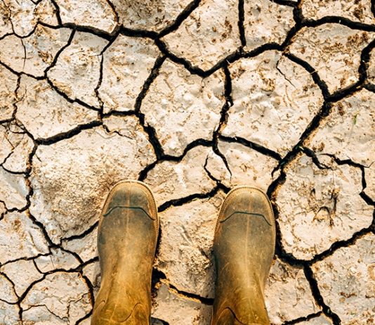 Eco ansiedad: Especialistas de la U. de Chile explican en qué consiste este nuevo trastorno psicológico (Noticias U. de Chile)